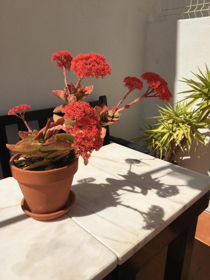 Your Vintage Townhouse Λάγος Εξωτερικό φωτογραφία